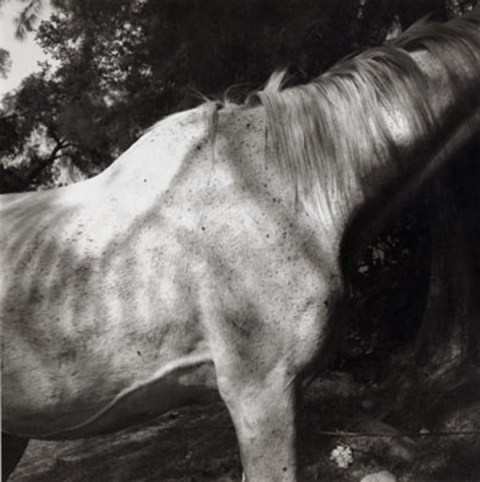 09_04-chiclayo-lima-81.72x600