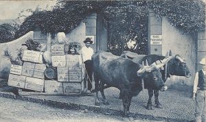 1024px-Funchal,_Madeira,_1914