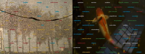 1_Cuadro_conceptual.72x1000