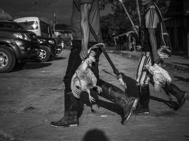 4e3e87b8e94dd09ebbfd6fda18